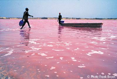 le lac rose